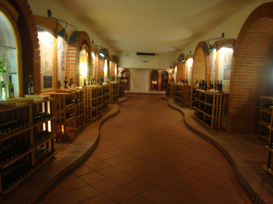 Museo5