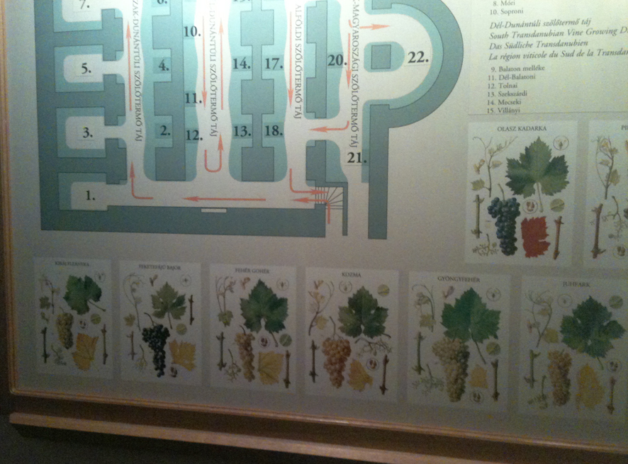 MuseoPanel1